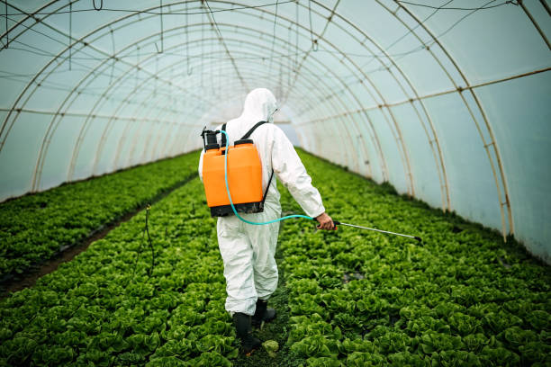 Best Pest Control Cost  in Newington Forest, VA