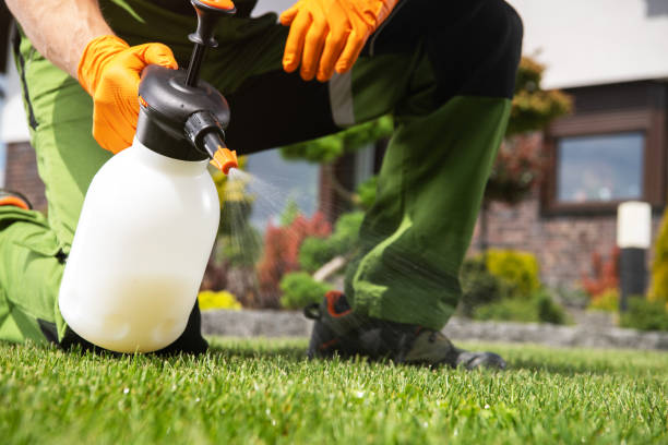 Best Residential Pest Control  in Newington Forest, VA