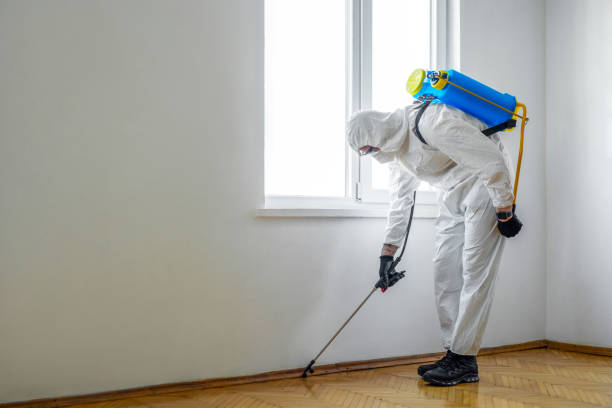 Best Best Pest Control Companies  in Newington Forest, VA