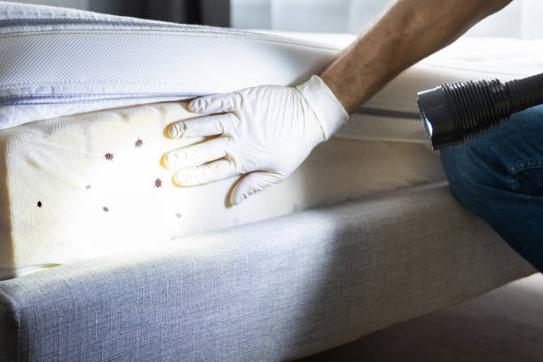 Best Pest Control for Businesses  in Newington Forest, VA