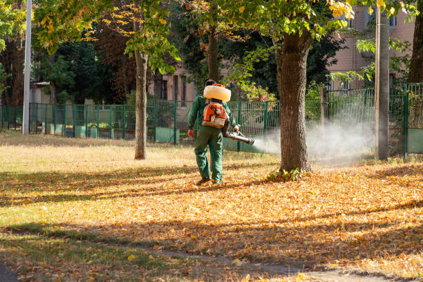 Best Local Pest Control Services  in Newington Forest, VA