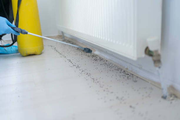 Pest Control Cost in Newington Forest, VA