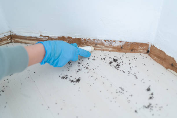 Best Exterminator Services  in Newington Forest, VA