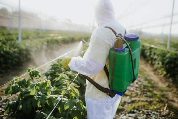Newington Forest, VA Pest Control Company